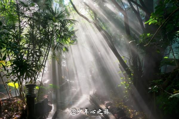 如何评价陆贞传奇?-专业问答网站，解答你的疑问